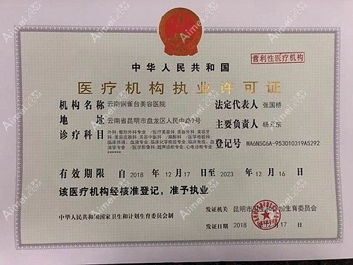 昆明铜雀台美容医院云南铜雀台美容医院医疗机构执业许可证
