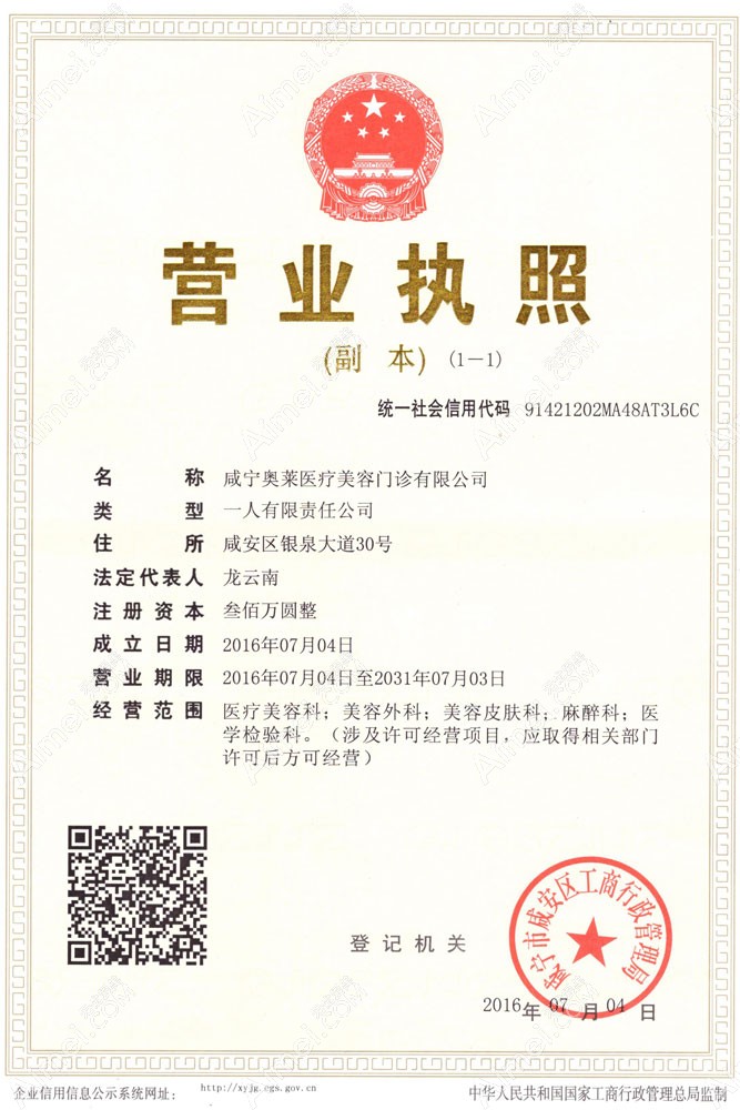 咸宁奥莱医疗美容门诊部营业执照