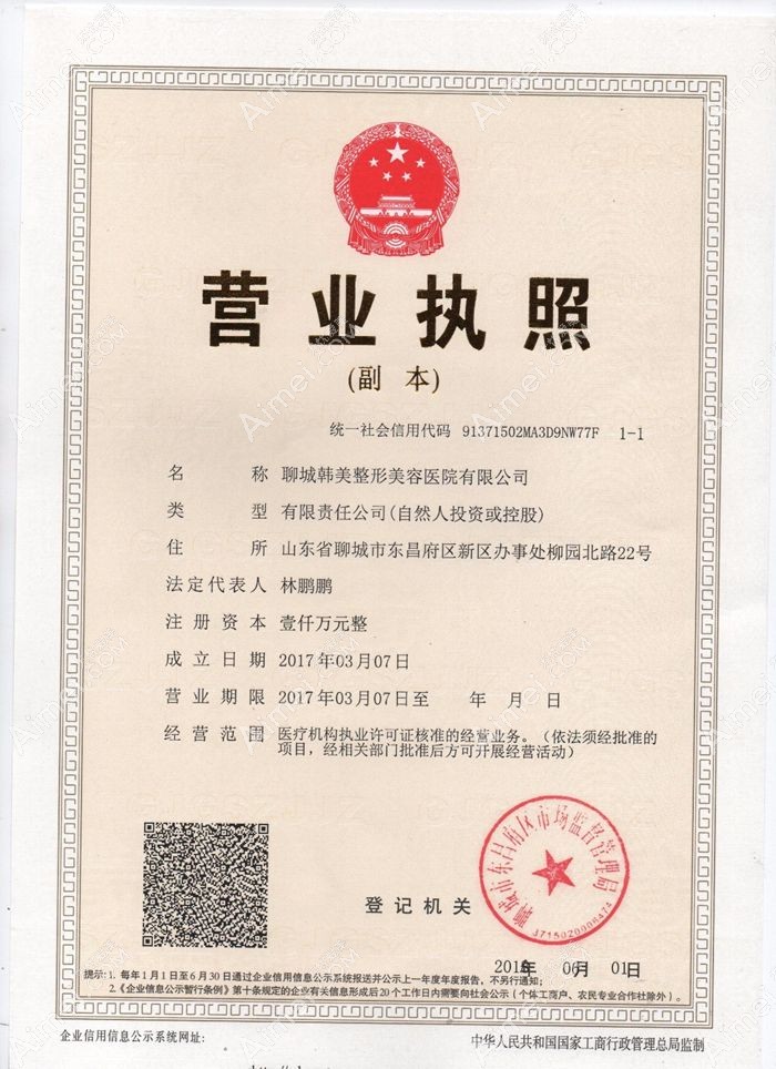 聊城韩美整形美容医院营业执照