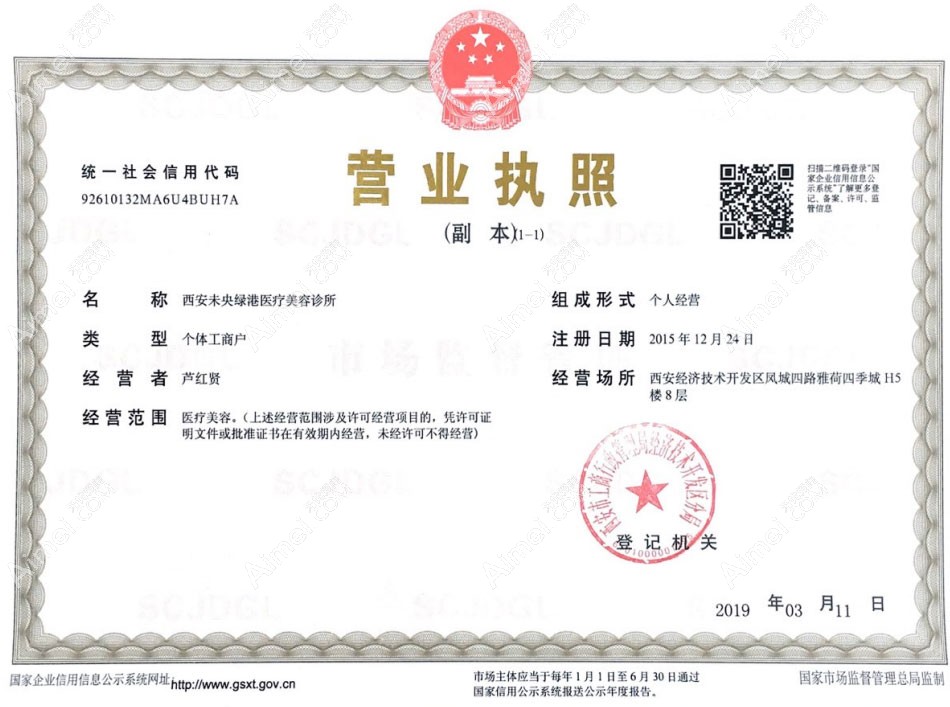 西安绿港医疗美容诊所营业执照