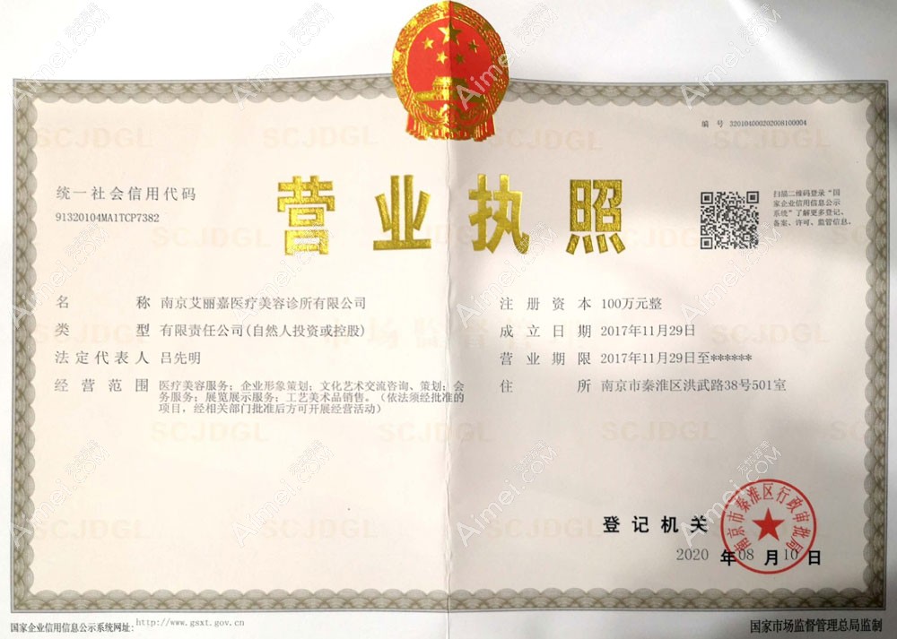 南京艾丽嘉医疗美容诊所营业执照