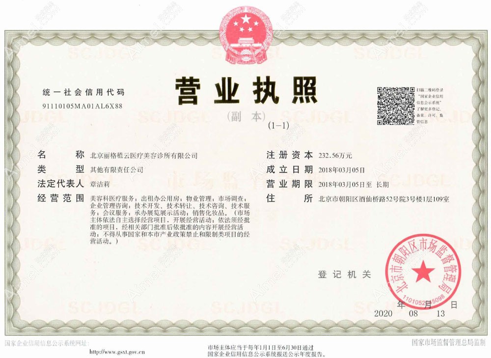 北京丽格稙云医疗美容诊所营业执照