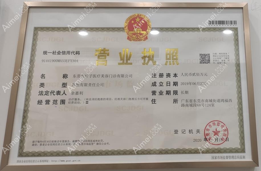 东莞南城叶子医疗美容门诊部营业执照