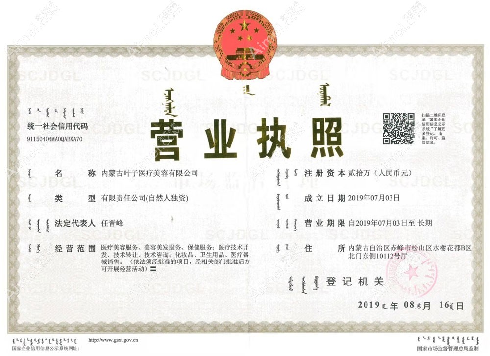 内蒙古叶子医疗美容诊所营业执照