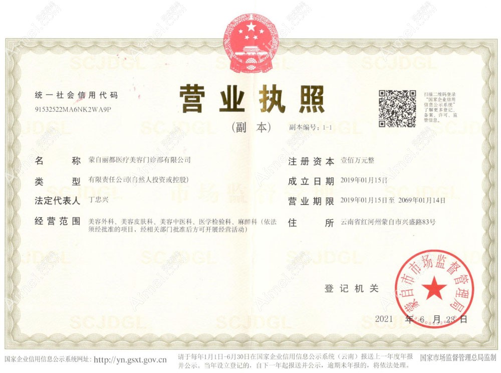 蒙自丽都医疗美容门诊部营业执照